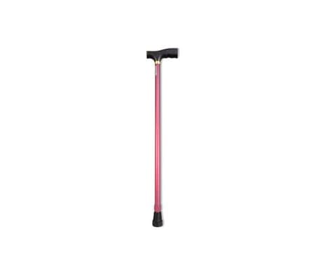 Aposan Evelyn Canne Extensible 1 Unité